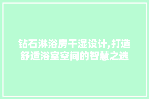 钻石淋浴房干湿设计,打造舒适浴室空间的智慧之选