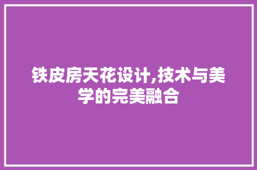 铁皮房天花设计,技术与美学的完美融合