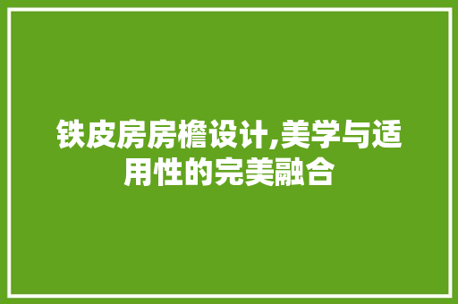 铁皮房房檐设计,美学与适用性的完美融合
