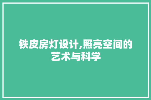 铁皮房灯设计,照亮空间的艺术与科学