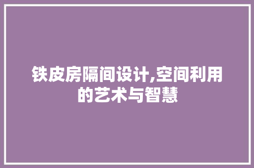 铁皮房隔间设计,空间利用的艺术与智慧