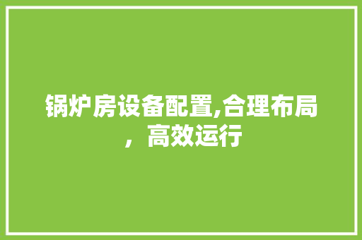 锅炉房设备配置,合理布局，高效运行