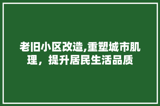 老旧小区改造,重塑城市肌理，提升居民生活品质
