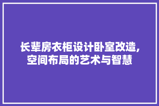 长辈房衣柜设计卧室改造,空间布局的艺术与智慧