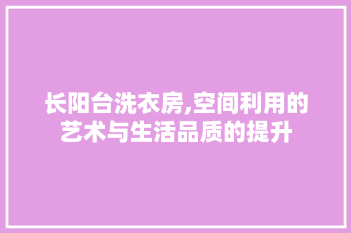 长阳台洗衣房,空间利用的艺术与生活品质的提升