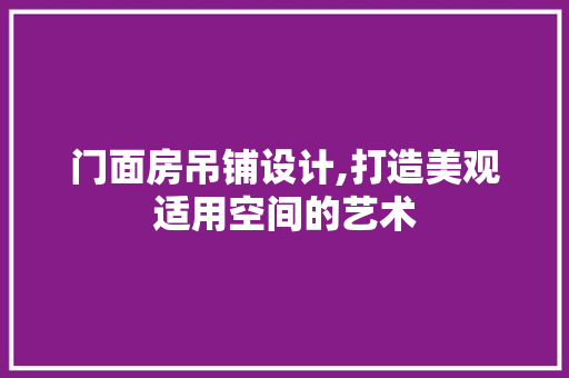门面房吊铺设计,打造美观适用空间的艺术
