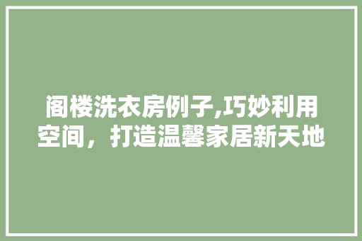 阁楼洗衣房例子,巧妙利用空间，打造温馨家居新天地