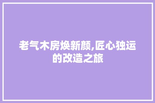 老气木房焕新颜,匠心独运的改造之旅