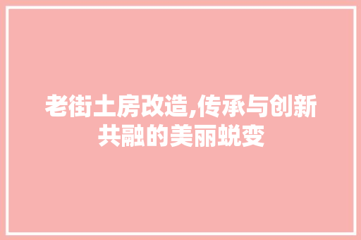老街土房改造,传承与创新共融的美丽蜕变