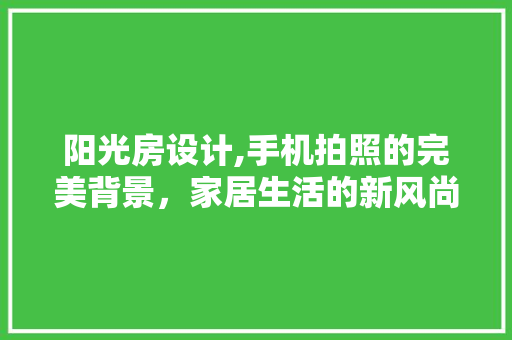 阳光房设计,手机拍照的完美背景，家居生活的新风尚