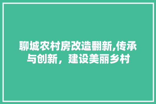 聊城农村房改造翻新,传承与创新，建设美丽乡村