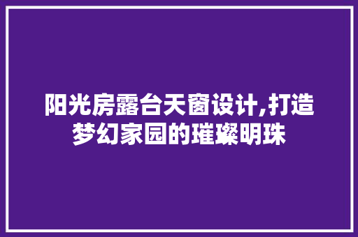 阳光房露台天窗设计,打造梦幻家园的璀璨明珠