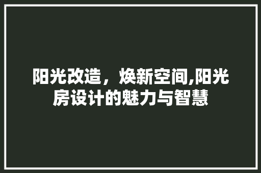 阳光改造，焕新空间,阳光房设计的魅力与智慧