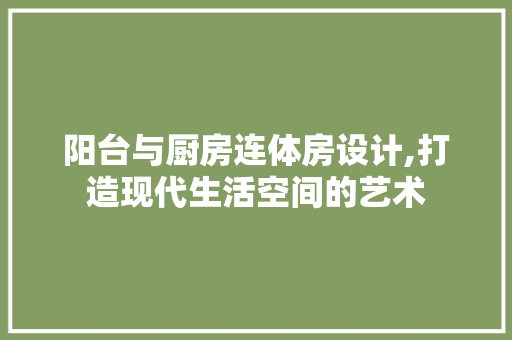 阳台与厨房连体房设计,打造现代生活空间的艺术