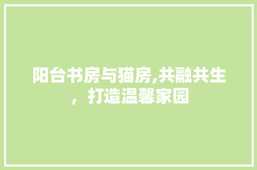 阳台书房与猫房,共融共生，打造温馨家园