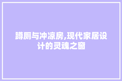 蹲厕与冲凉房,现代家居设计的灵魂之窗