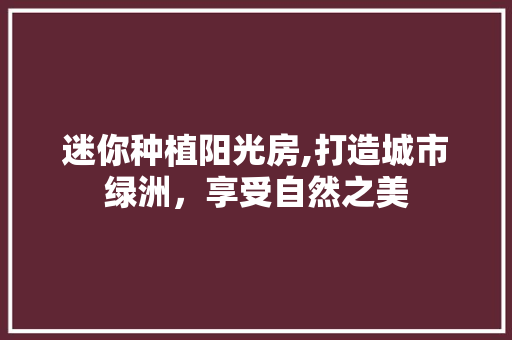迷你种植阳光房,打造城市绿洲，享受自然之美