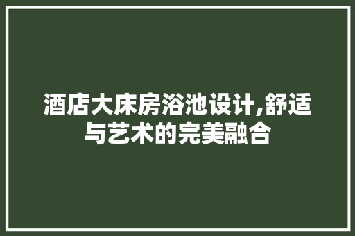 酒店大床房浴池设计,舒适与艺术的完美融合