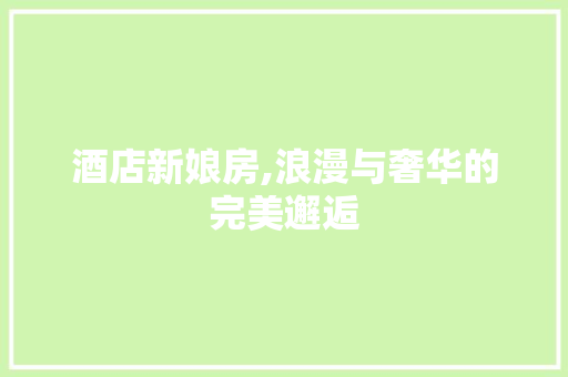 酒店新娘房,浪漫与奢华的完美邂逅