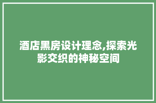 酒店黑房设计理念,探索光影交织的神秘空间