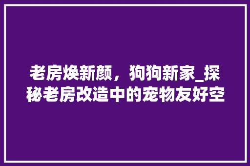 老房焕新颜，狗狗新家_探秘老房改造中的宠物友好空间