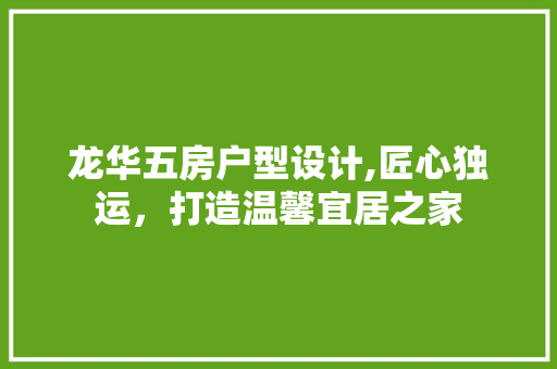 龙华五房户型设计,匠心独运，打造温馨宜居之家