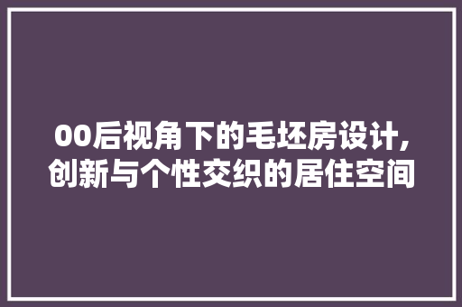 00后视角下的毛坯房设计,创新与个性交织的居住空间