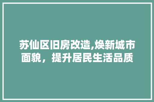 苏仙区旧房改造,焕新城市面貌，提升居民生活品质