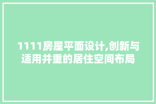 1111房屋平面设计,创新与适用并重的居住空间布局
