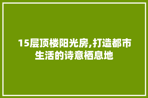 15层顶楼阳光房,打造都市生活的诗意栖息地