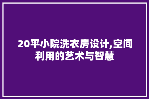 20平小院洗衣房设计,空间利用的艺术与智慧