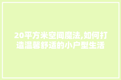 20平方米空间魔法,如何打造温馨舒适的小户型生活