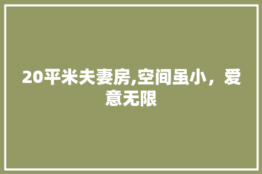 20平米夫妻房,空间虽小，爱意无限
