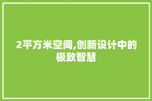 2平方米空间,创新设计中的极致智慧
