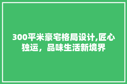 300平米豪宅格局设计,匠心独运，品味生活新境界