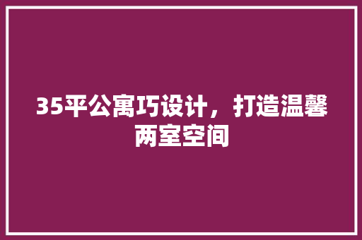 35平公寓巧设计，打造温馨两室空间