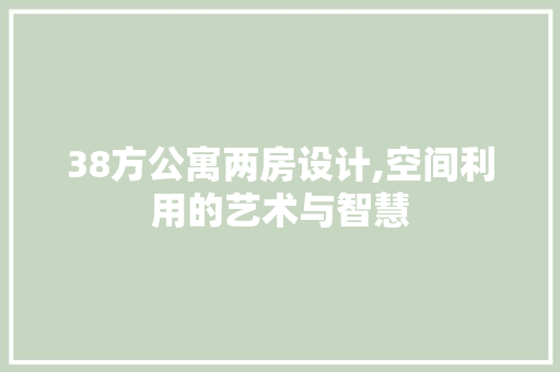 38方公寓两房设计,空间利用的艺术与智慧