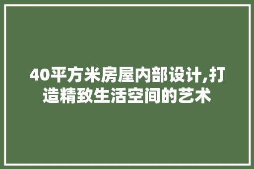 40平方米房屋内部设计,打造精致生活空间的艺术