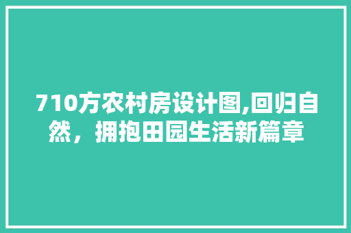 710方农村房设计图,回归自然，拥抱田园生活新篇章
