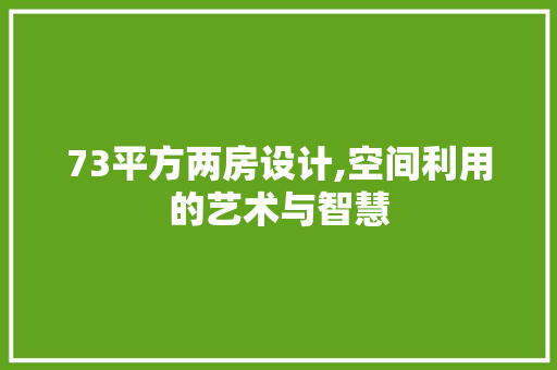 73平方两房设计,空间利用的艺术与智慧