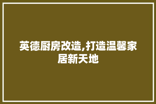 英德厨房改造,打造温馨家居新天地
