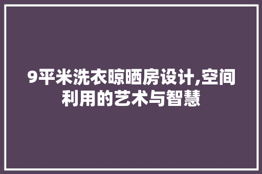 9平米洗衣晾晒房设计,空间利用的艺术与智慧