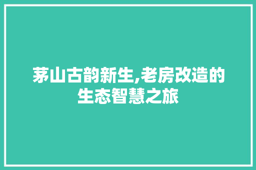 茅山古韵新生,老房改造的生态智慧之旅