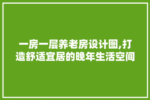一房一层养老房设计图,打造舒适宜居的晚年生活空间
