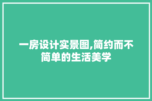 一房设计实景图,简约而不简单的生活美学