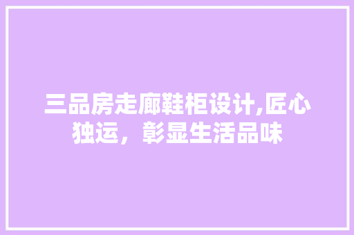 三品房走廊鞋柜设计,匠心独运，彰显生活品味