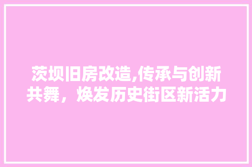 茨坝旧房改造,传承与创新共舞，焕发历史街区新活力