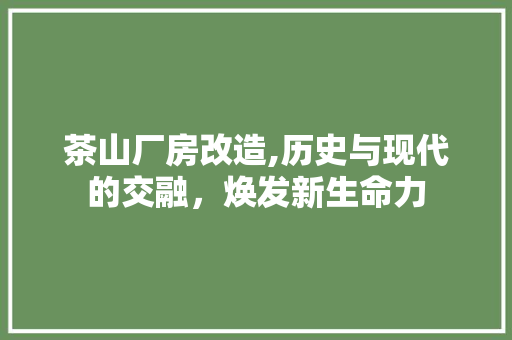 茶山厂房改造,历史与现代的交融，焕发新生命力