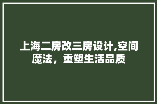 上海二房改三房设计,空间魔法，重塑生活品质