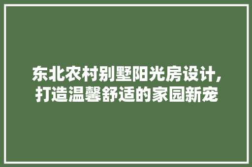 东北农村别墅阳光房设计,打造温馨舒适的家园新宠